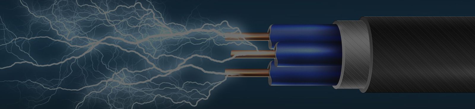 Global Earthing System